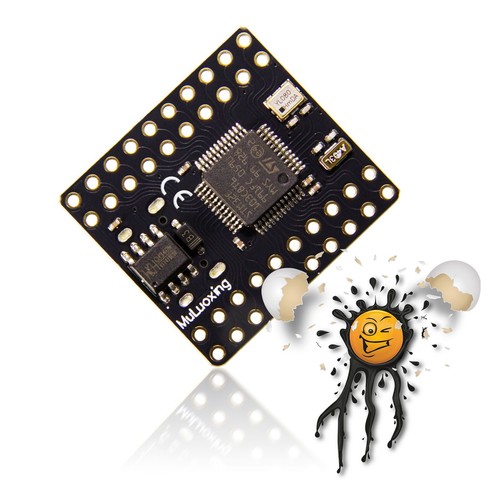 Módulo Mini ARM Cortex M3 STM32F103C8T6 STM32F103RCT6 USB-C - Imagen 5 de 9