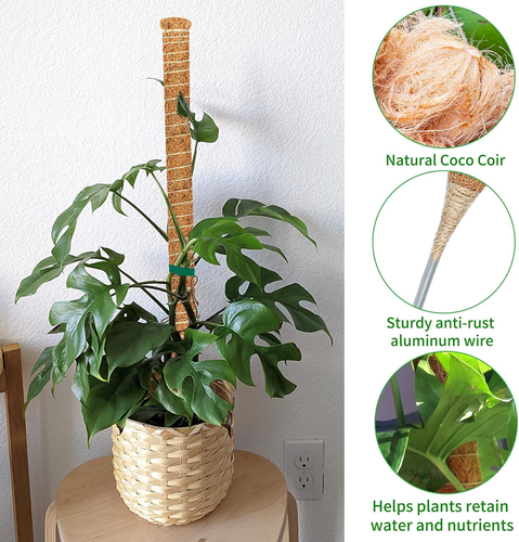 2 Pack Moss Pole, 26.8-Inch Moss Poles for Plants Monstera, Bendable Plant Suppo - Picture 5 of 12