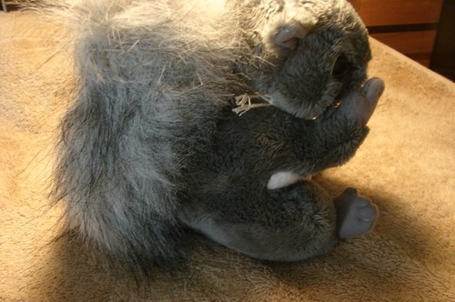 Conservation Critter Squirrel - Picture 2 of 4