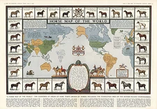 Historic Horse Map of the World Antique Vintage Pictorial Wall Art Poster Decor