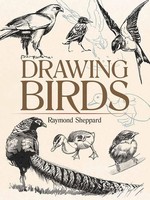 Drawing Birds | Raymond Sheppard | Englisch | Taschenbuch | 2018