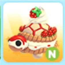 Strawberry Tortle | Adopt Now