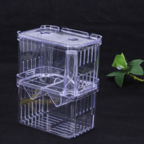 Incubadora acr??lica de caja de aislamiento para cr??a de peces para pecera - Imagen 4 de 12