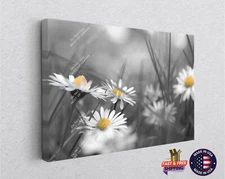 Chamomile Flower Daisy Flowers Canvas Décor Art Print Room Painting