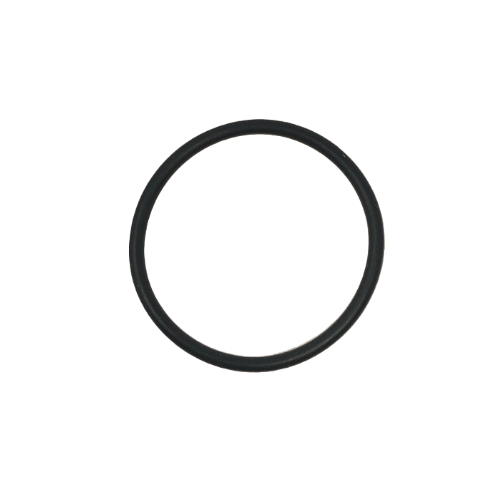 Intex SF901101 Replacement Adapter ORing Gasket Seal for Sand Filter