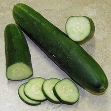 Verde Ortolani Sensation Cucumber Seeds