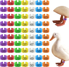 70 anillas pata pato 20mm numeradas 01-70 identificacion gallina ganso pavo ave