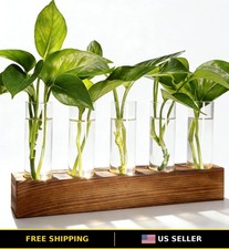 Plant Propagation Station with Wooden Stand, Glass Plant Terrarium, Pots