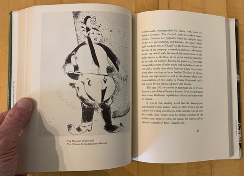 HOWARD GREENFELD - MARC CHAGALL- 1ST ED. 1967 - DJ. - Picture 10 of 12