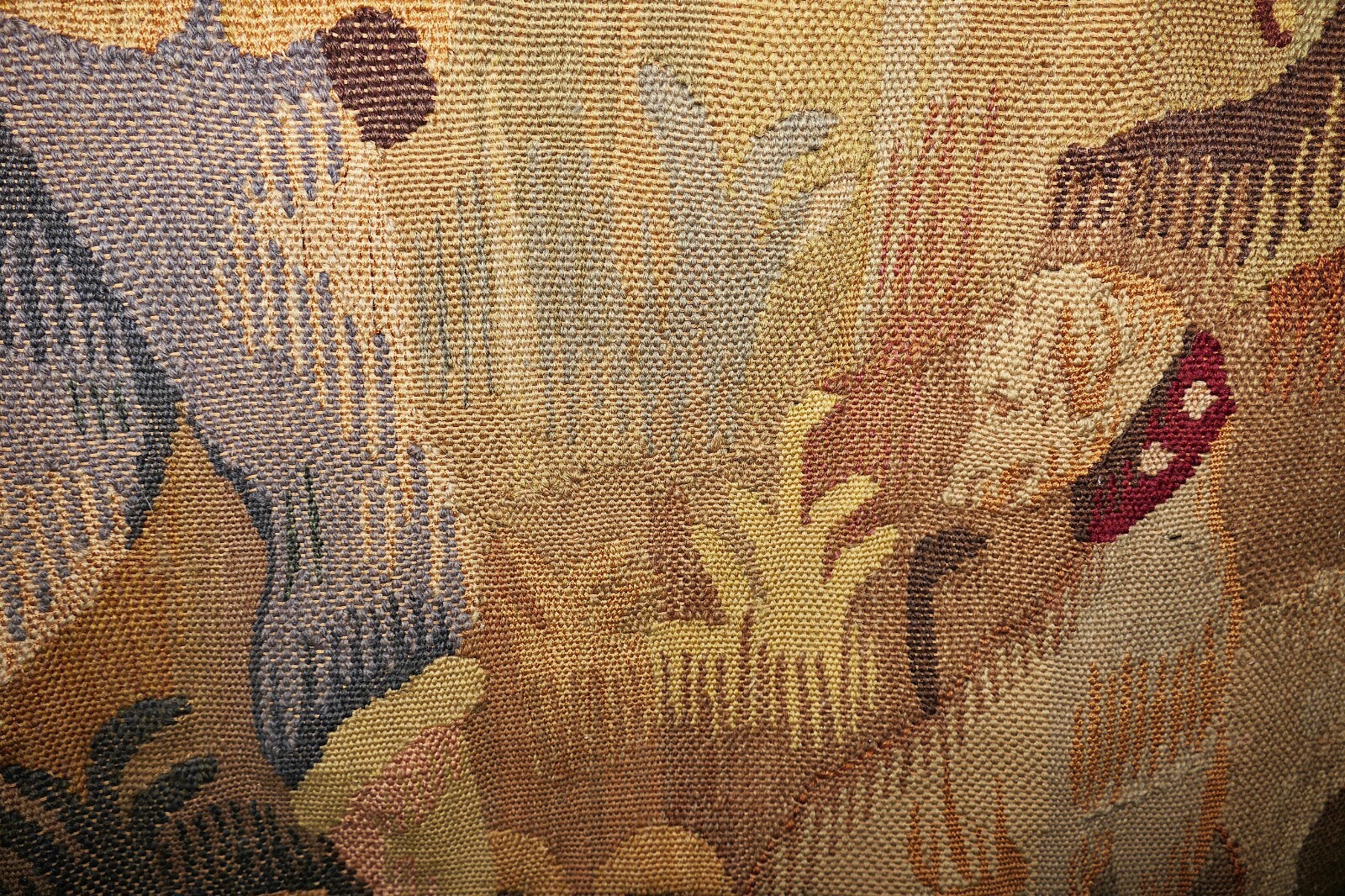 Picture 9 of 24