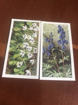 2 X Wild Flowers. Series 3 Brooke Bond Tea Cards  No s 3 & 43