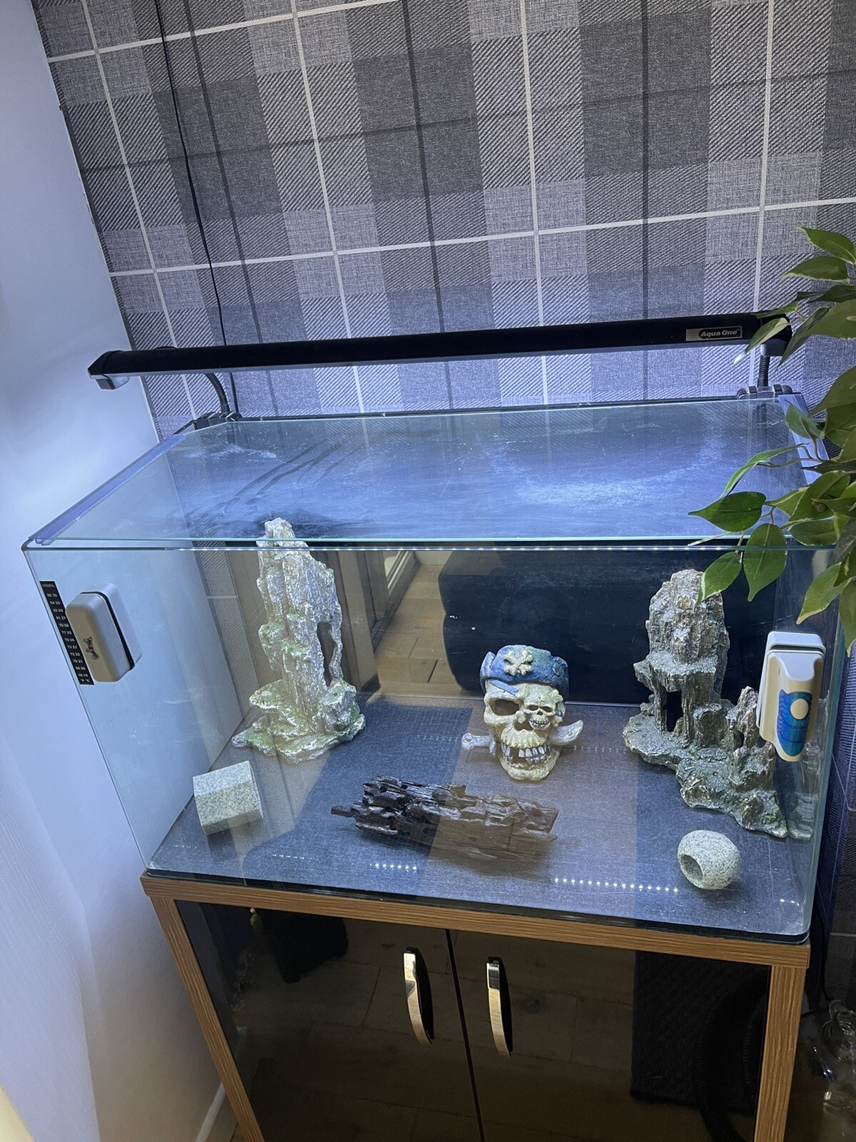Fish Tank eBay