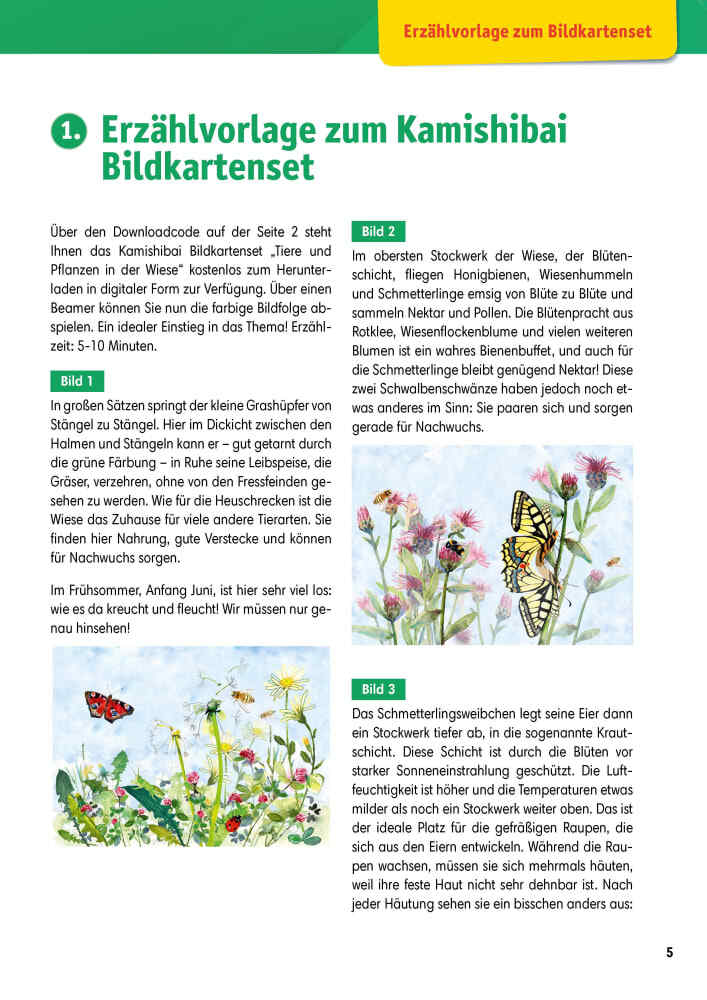 Thumbnail - Arbeitsmaterial Grundschule. Sachunterricht: Tiere Und Pflanzen In Der