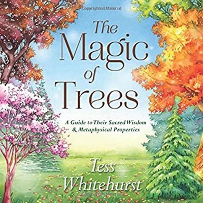The Magic of Trees : A Guide to Their Sacred Wisdom and Metaphysi