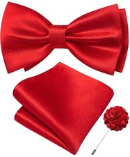 Mens Bow Tie Set Paisley Coloful Pre-tied Bowties Adjustable with Red Solid