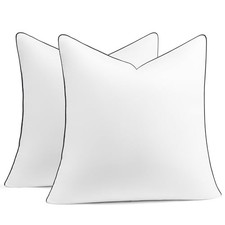 20x20 Pillow Inserts Set of 2, Fluffy Overfilled Down 20x20 Inch Pack of 2 1