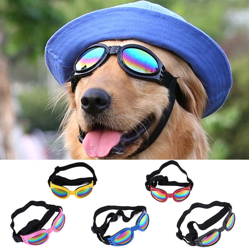 Doggles for cheap dogs