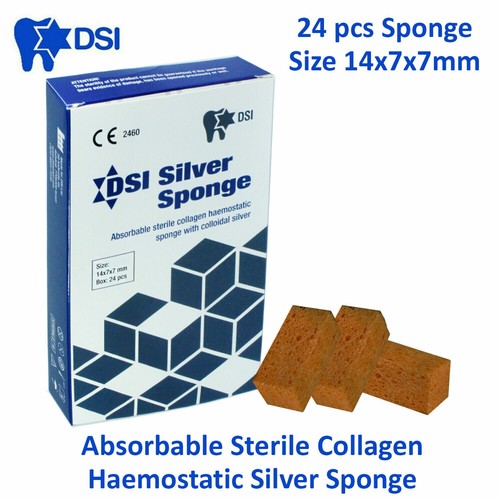 Dental SILVER Absorbable Hemostatic Gelatin Sponge 24 pc Gelfoam
