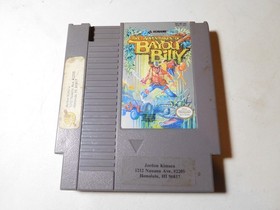 NES Adventures of Bayou Billy cartridge Nintendo cleaned, Tested, working