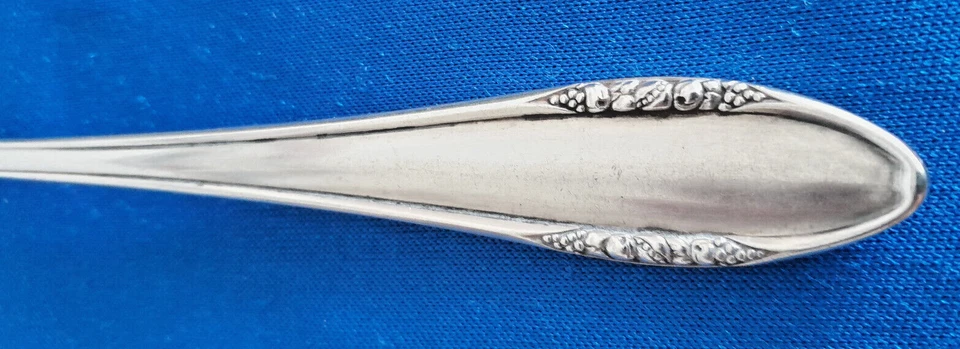 BSF 89 Früchte Besteck  Fischbesteck für 2 Personen  90er vers. Art. 860/06.23 - Bild 2 von 3