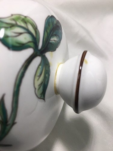 Villeroy & Boch 'Botanica' 5.5 Cup COFFEE POT - Issue! - Picture 10 of 10