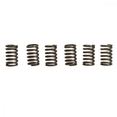Kupplungsfeder verstärkt (6Stk) EBC CSK131 für KTM Duke 690 R Bj. 2010-2012