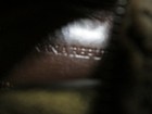 Bild 9 von 9