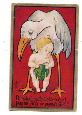1909 postcard,Huge stork,baby with fig leaf over body,Boy and Girl?