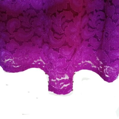 LE CHATEAU Pink Fit and Flare Lace Dress XXS NEW NWT | eBay