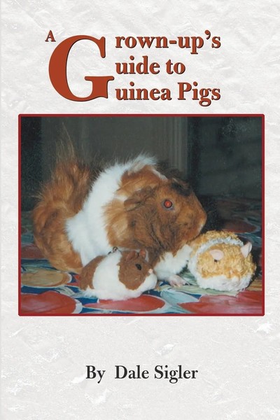Dale L. Sigler | A Grown-Up's Guide To Guinea Pigs | Taschenbuch | Englisch-image