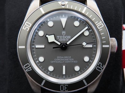 2022 Tudor Black Bay 58 925 Silver 79010SG Men's 39mm Wristwatch Box Papers