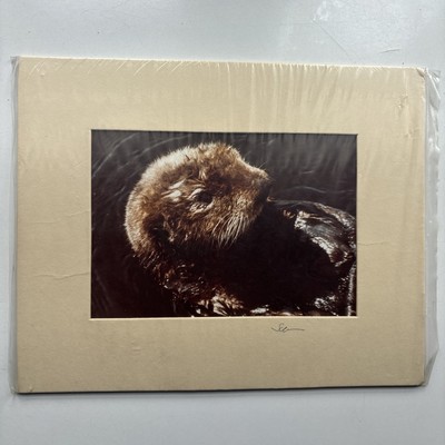 Borje Svensson Photography San Francisco CA (1980) Otter / Wassermarder signiert