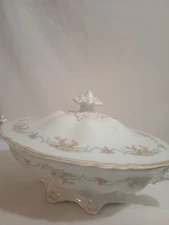 RARE BEAUTIFUL DETAILED ANTIQUE J & G Meakin Hanley England COVERED DISH FLOWERS