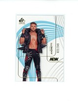 2025 Upper Deck UD SP Signature AEW Action Andretti #3 Light Blue Base 22/249