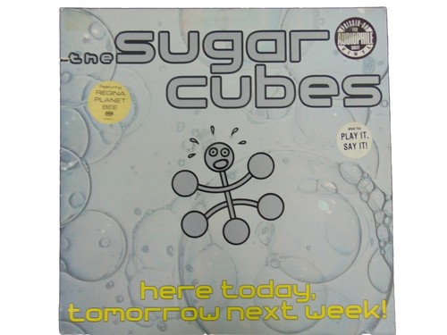 RARO! Portada de álbum firmada a mano "The Sugar Cubes" Björk Guðmundsdóttir certificado de autenticidad - Imagen 2 de 3