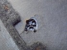 Bild 7 von 7