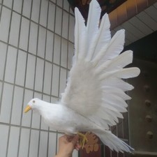 big simulation dove model foam feather wings pigeons bird toy about 42x80cm