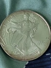 2019 American Eagle Silver Dollar, Walking Liberty Uncirculated/Slight Toning