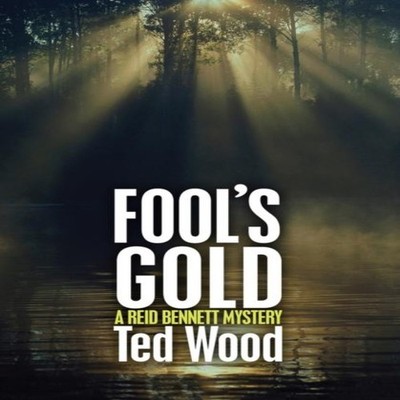 Fool's Gold Ted Wood Paperback Chicago Review Press Inc DBA Indep