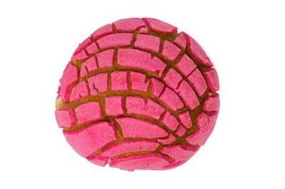Concha Blanket | Pan Dulce Throw | Pink Concha Round Foodie Funny Blanket