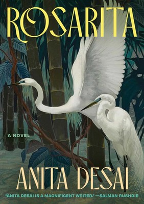 Rosarita | Anita Desai | Englisch | Buch | 2025 | Scribner Book Company