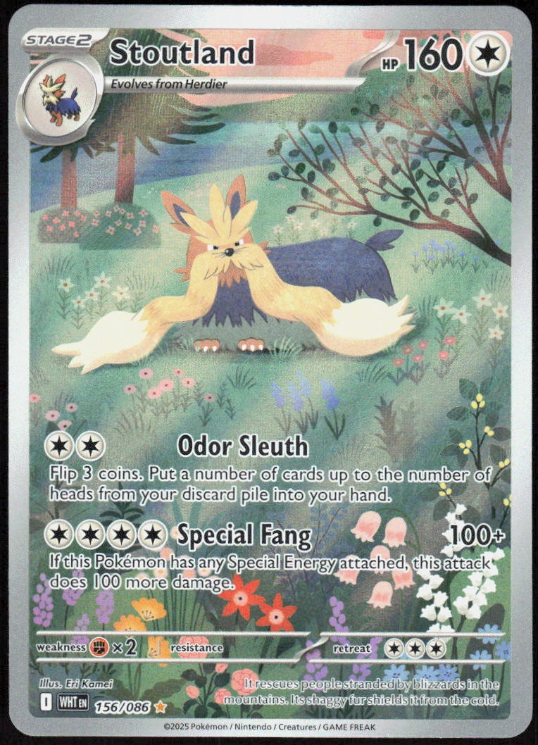 Stoutland 156/086 Holofoil Illustration Rare SV: White Flare NM Pokemon