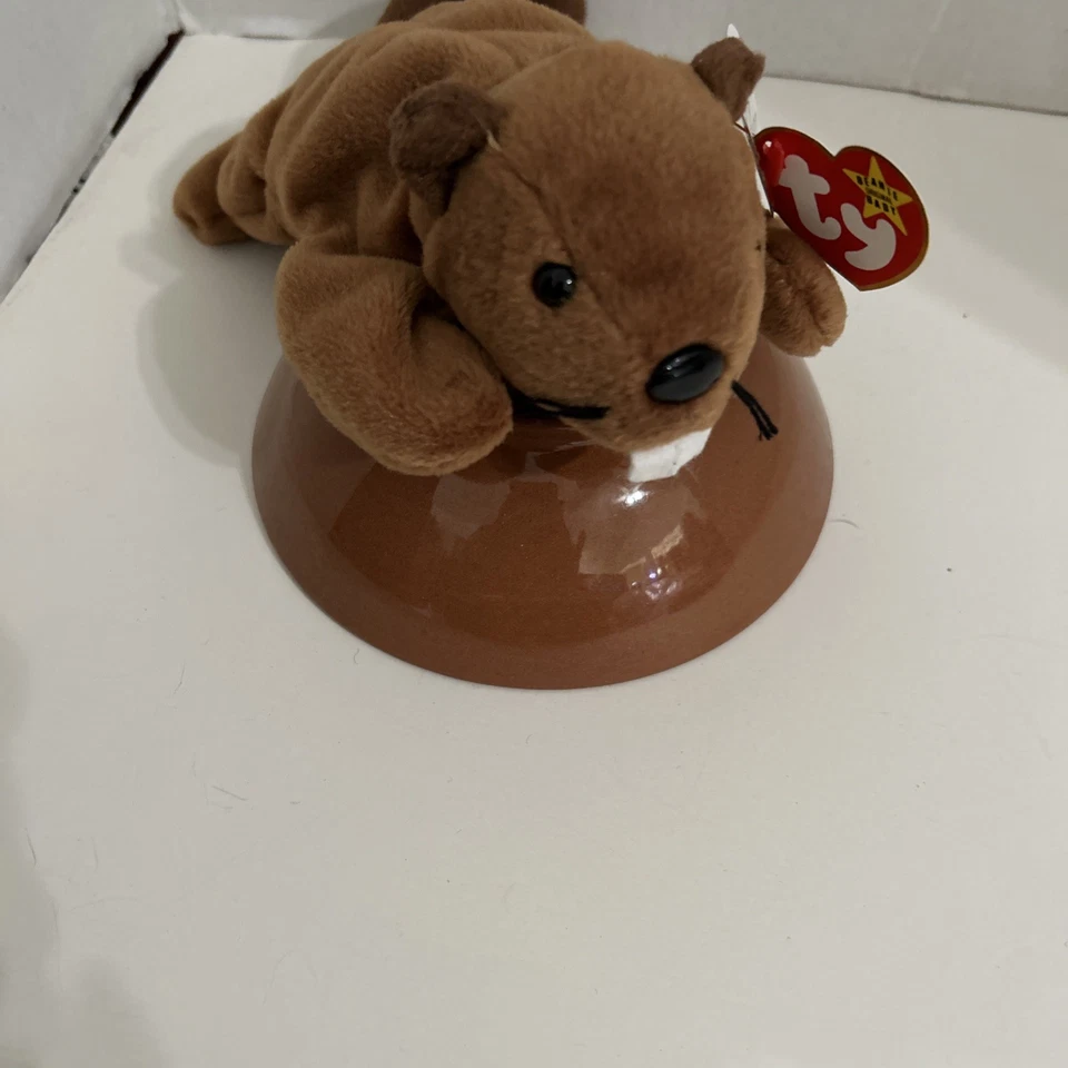 RARE TY Beanie Baby Bucky the Beaver 1995 w/ MULTTAG ERRORS & PVC Pellets34/4 - Image 2 of 4