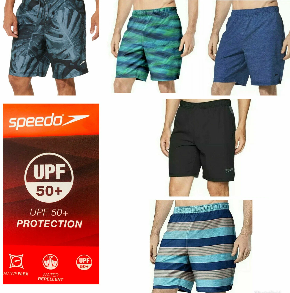 Speedo men's volley swim short best sale costco