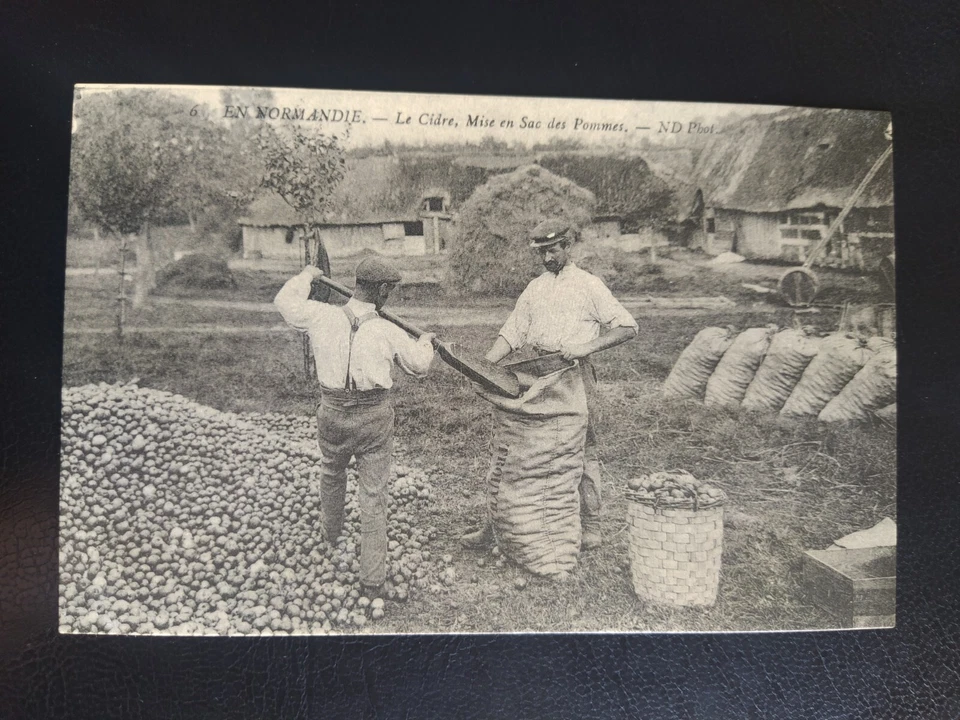 Carte postale En Normandie Le Cidre Mise En Sac De Pommes 367 cécodi réédition - Photo 1/1