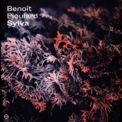 Benoit Pioulard - Sylva (Vinyl LP - 2019 - EU - Original)