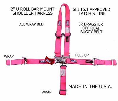 RJS  2'' 5 POINT LATCH & LINK U MOUNT HARNESS JR DRAG BUGGY BELT HOT PINK 1004310
