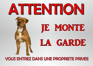 Plaque Chien Staff American Staffordshire 29 X 19 Cm Percee Aux Angles Ref 55 Ebay Plaque Chien Staff American Staffordshire 29 X 19 Cm Percee Aux Angles Ref 55 Ebay