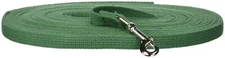OmniPet Leather Brothers 50-Feet Web Training Lead Small Green