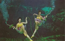 Vintage Chrome Postcard - Weeki Wachee Women Underwater Florida